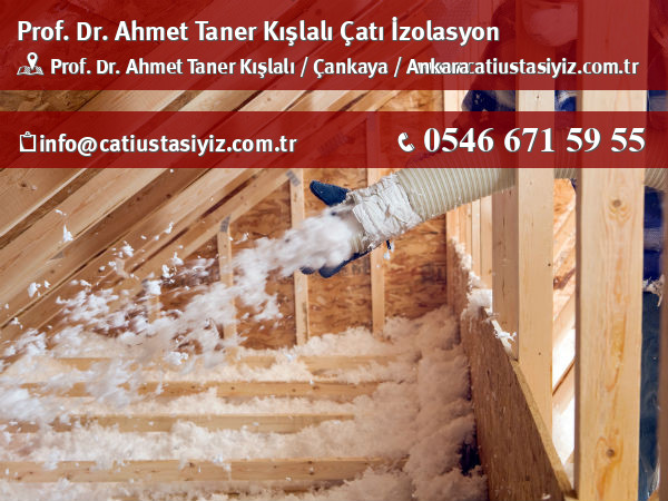Prof. Dr. Ahmet Taner Kışlalı çatı izolasyon, yalıtım, catı ustası
