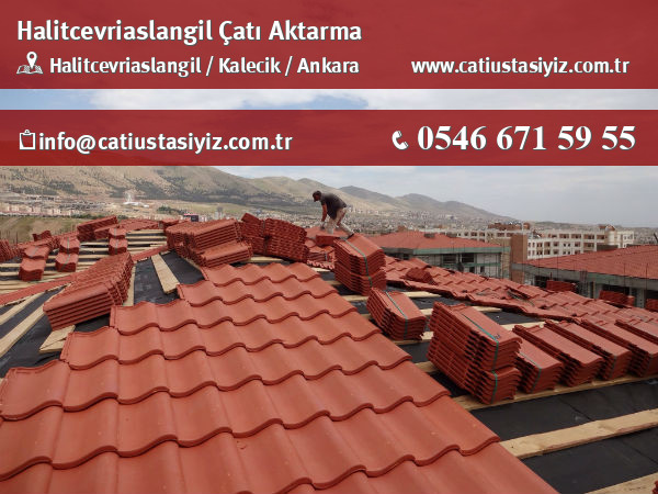 Halitcevriaslangil çatı aktarma, çatı ustası