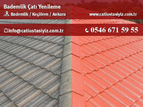 Bademlik çatı yenileme, çatı ustası