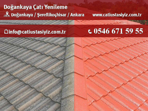 Doğankaya çatı yenileme, çatı ustası