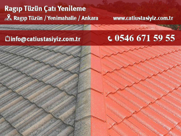 Ragıp Tüzün çatı yenileme, çatı ustası