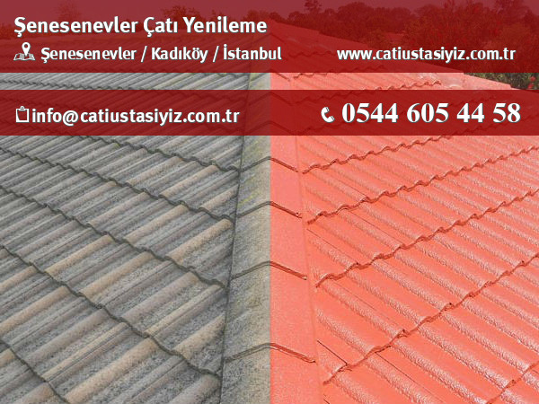 Şenesenevler çatı yenileme, çatı ustası