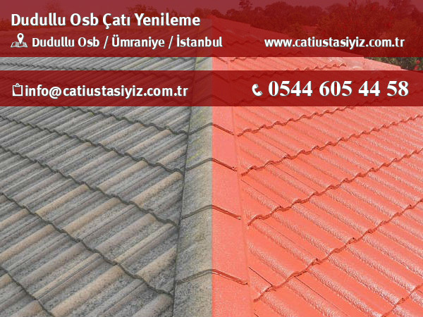 Dudullu Osb çatı yenileme, çatı ustası