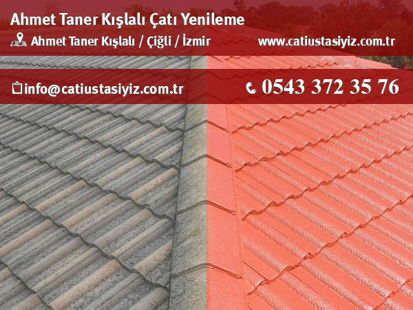 Ahmet Taner Kışlalı çatı yenileme, çatı ustası