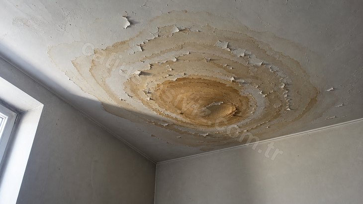 Oda tavanında iç içe geçmiş çay rengi su lekesi halkaları ve kenarda kabarmış boya
