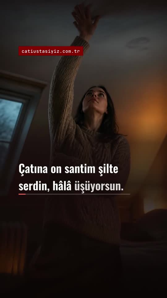 Çatı Yalıtımı: Kaç Santim? konulu short videonun kapak görseli