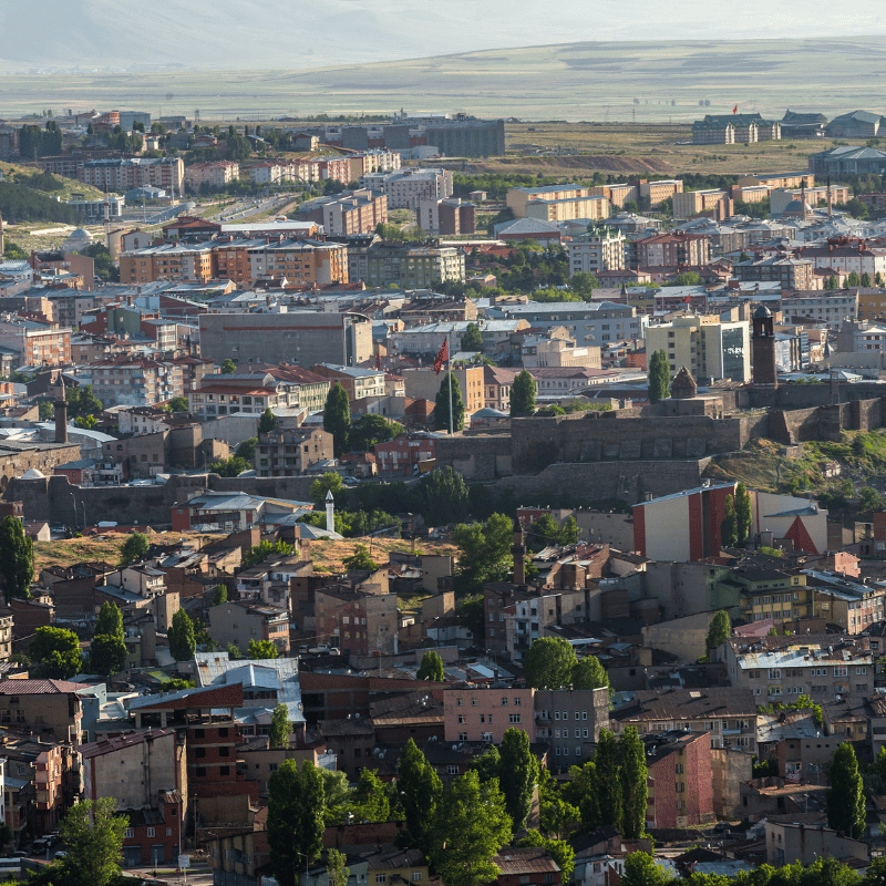Erzurum'un Çatıları