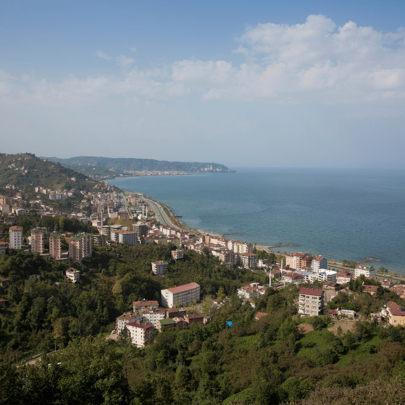 Trabzon'un Çatıları